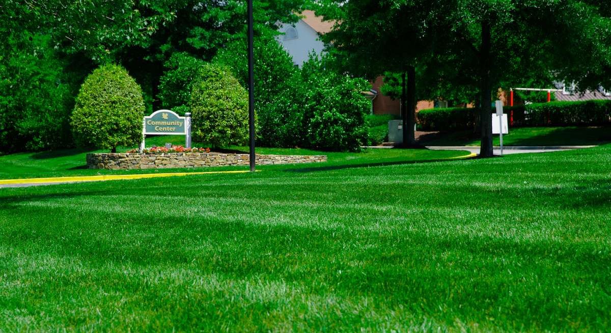 Add Curb Appeal at Your HOA With These 6 Landscape Enhancements